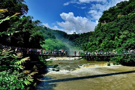 黃果樹