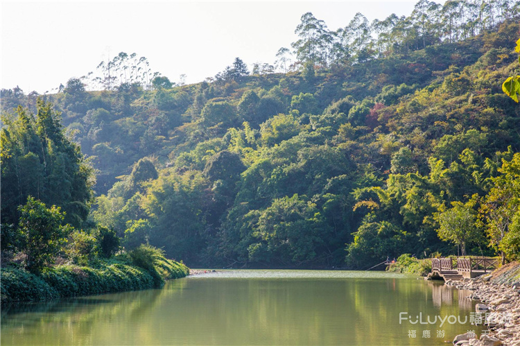 濕地公園