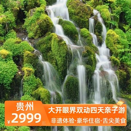 大開眼界雙動四天親子游全程入住一晚侗寨景區內客棧，一晚貴陽當地準四酒店，一晚丹寨景區內超豪華準五酒店