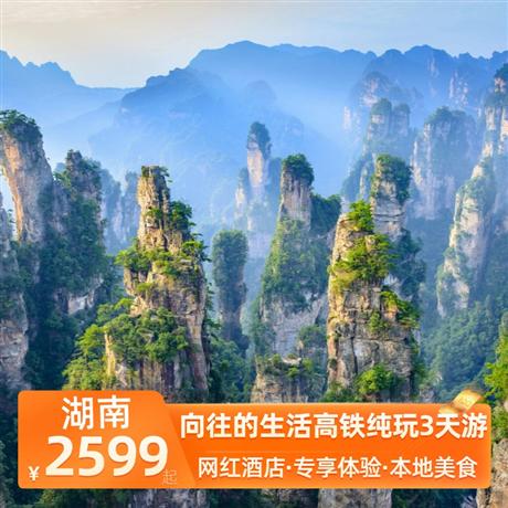 向往的生活高鐵純玩3天游安排入住一晚森林覆蓋率達 99％的五星級酒店—莽山森林溫泉酒店