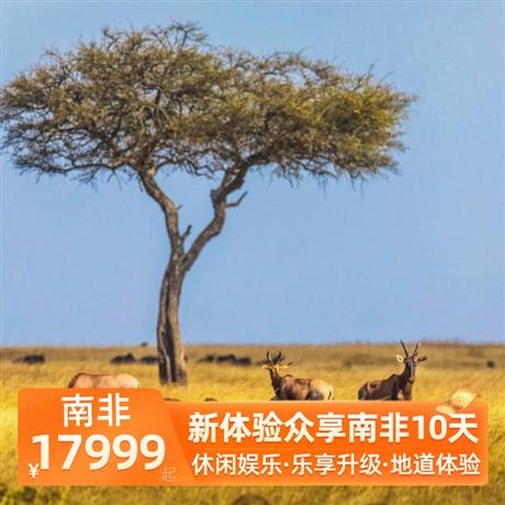 新體驗眾享南非10天營地午餐&晚餐，享受野奢的浪漫，野生保護區越野車 safari