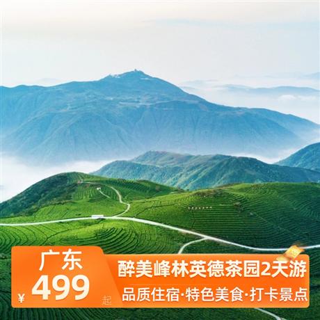 醉美峰林英德茶園2天游<深圳出發(fā)>英德市區(qū)公寓酒店，尋味《英紅茶香宴》
