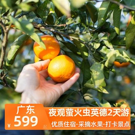 夜觀螢火蟲英德2天游<深圳出發>入住全新酒店-積慶里·仙湖酒店，行攝萬畝茶園