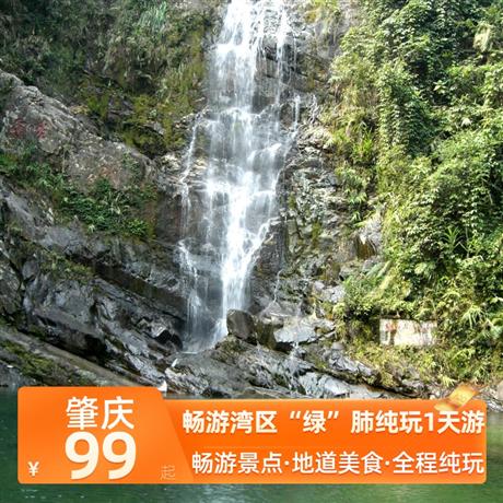 暢游灣區“綠”肺純玩1天游探秘“北回歸線帶上的綠寶石”，暢游灣區“綠肺” 天然大氧吧